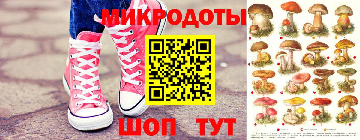 как найти наркотики  Вход с VPN  Чусовой  Псилоцибиновые грибы Psilocybe 